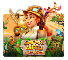 safari life 2