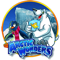 artic wonders