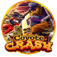 coyote crash