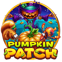 pumpkin patch