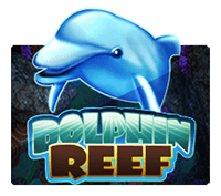 dolphin reef
